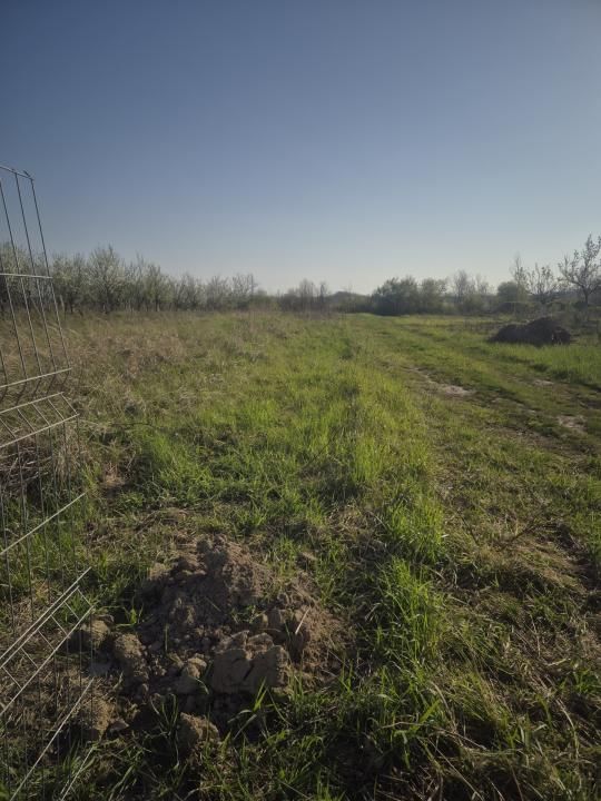De vanzare teren la munte , in Rucar , zona Iezer Papusa, Arges, – fotografia 1 din 2
