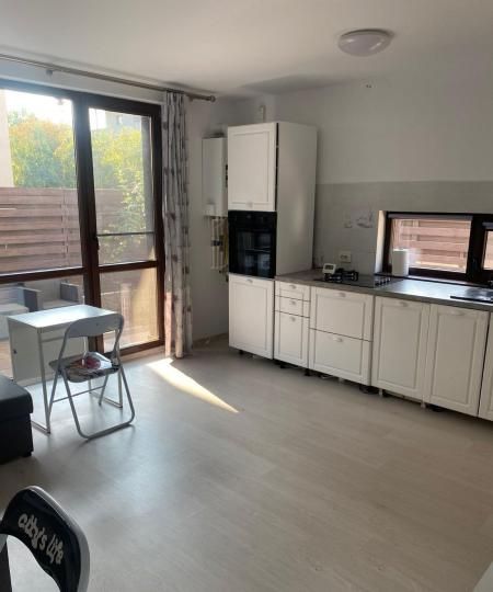 Casa Bragadiru de inchiriat | Curte proprie | Centrala | 2 Parcari – fotografia 4 din 11
