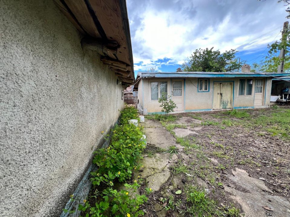 Casă + teren 4430 mp, vie și pomi fructiferi, 22 km de Tecuci – fotografia 26 din 36