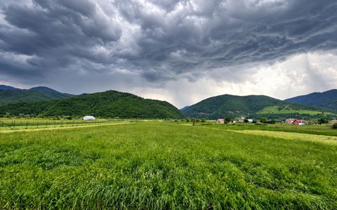 TEREN INTRAVILAN DE VÂNZARE – BOIȚA | 3.477 MP | LA DOAR 700 M DE NODUL RUTIER