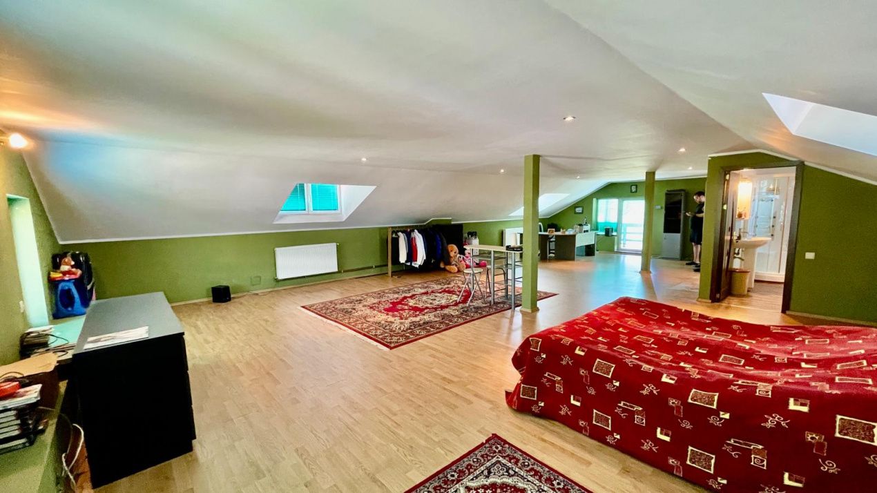 Proprietate Excepțională cu Potențial Dublu în Valea Ursului, Argeș – fotografia 2 din 20