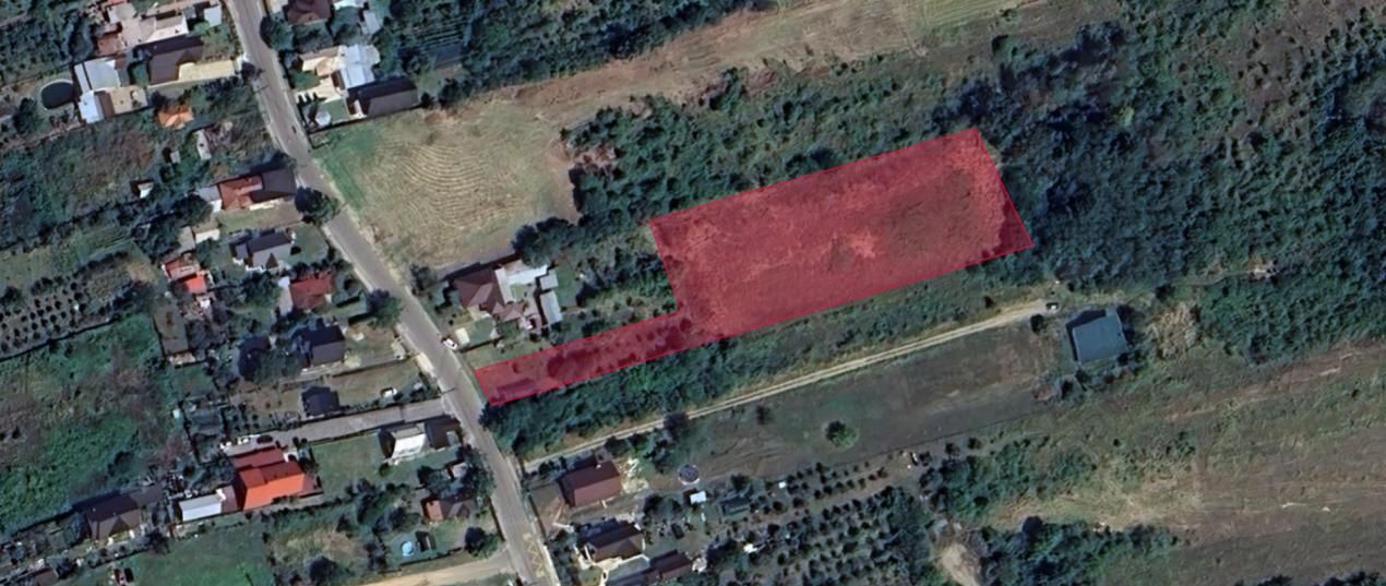 Teren 5.000 mp de vânzare – Zona Dealu Viilor (Mosoaia), cadru natural – fotografia 1 din 1