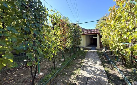 Casa individuala cu 4 camere | 124 mp | 430 mp teren | zona Plopi