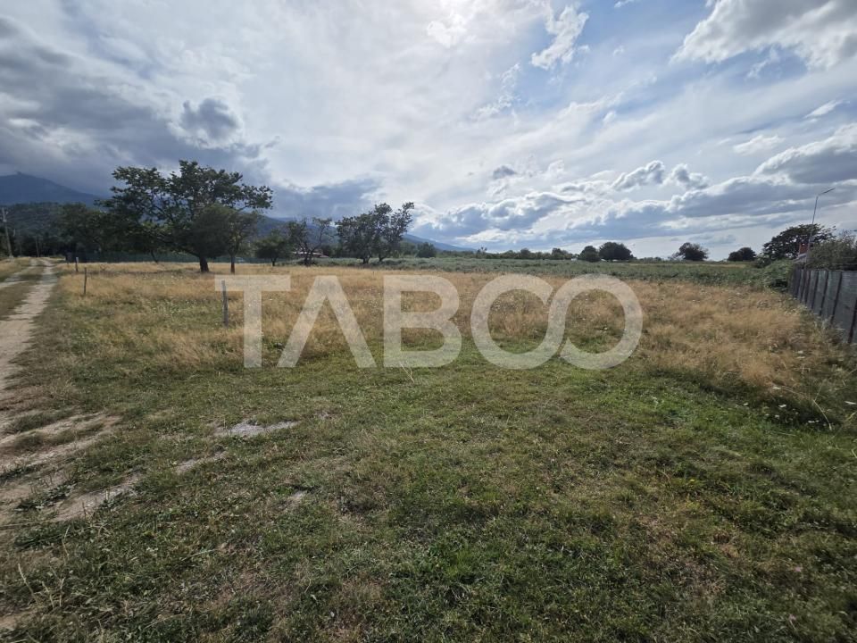 Teren extravilan de vanzare 2580 mp in Statiunea Sambata de Sus – fotografia 4 din 4