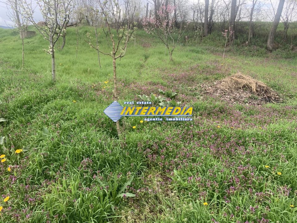 OCAZIE ! Teren intravilan 300 mp. 450 mp. si 500 mp. Vanzare Barabant Alba Iulia pentru cabana – fotografia 4 din 5