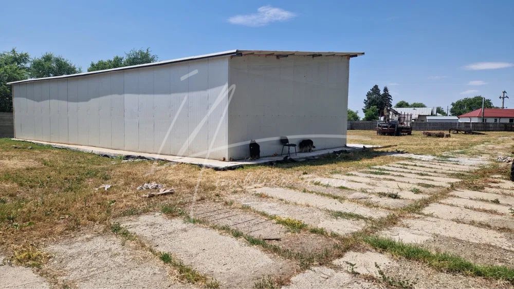 Teren langa padure,aproape de Bucuresti 10 275 mp de liniste. – fotografia 8 din 8