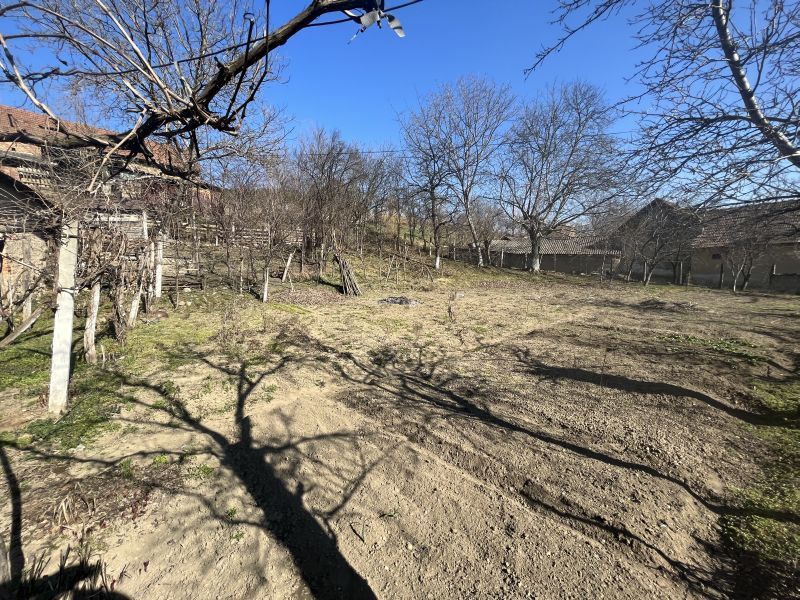OKAZIE! Casa in Cricau 3 Camere 1300 mp. Curte Teren Fantana Utilitati Asfalt – fotografia 13 din 32