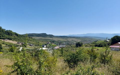 TEREN 990MP,VALEA JELNII