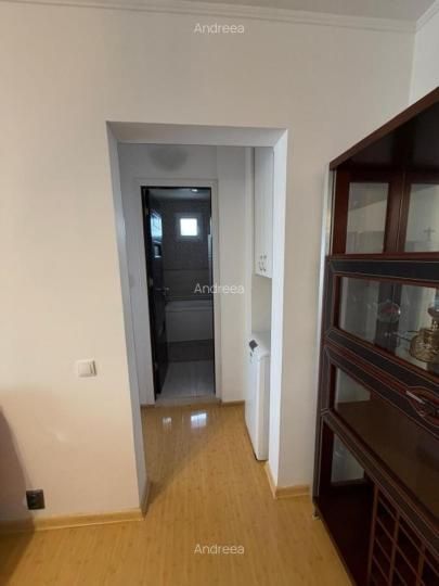 3 Camere de inchiriat | Crangasi | PetFriendly | Centrala | Parcare – fotografia 12 din 14