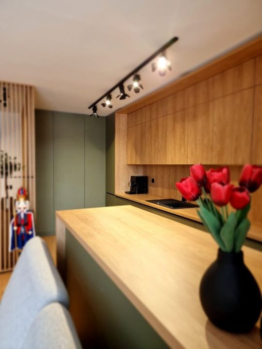 Apartament de 2 camere premium, complex Tribeka Vivo – fotografia 1 din 8