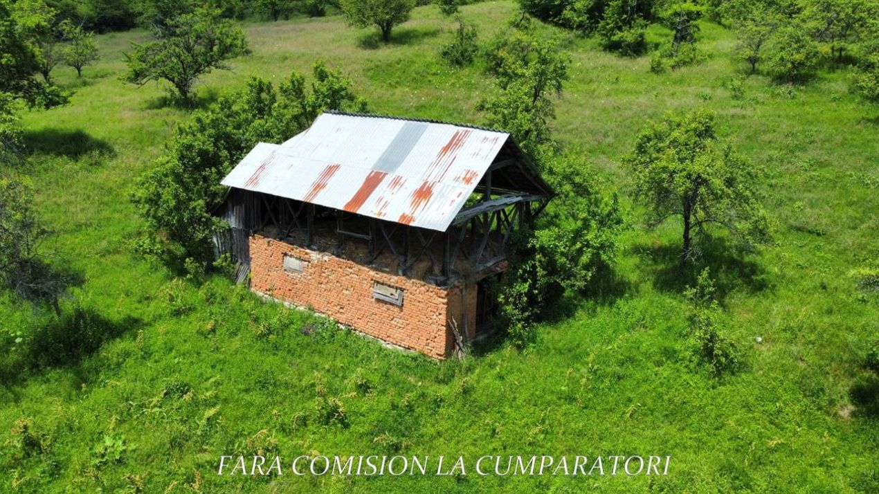 TEREN 19.822 MP CADRU NATURAL MINUNAT – fotografia 9 din 24