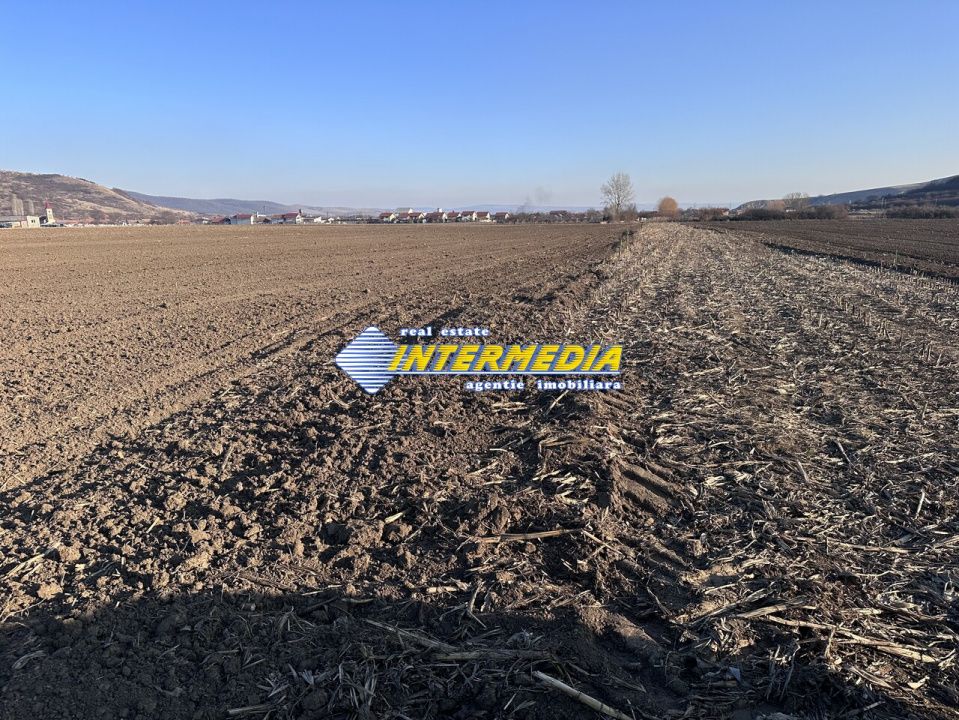 Teren intravilan de vanzare in Sard suprafete 600-800 mp – fotografia 3 din 5