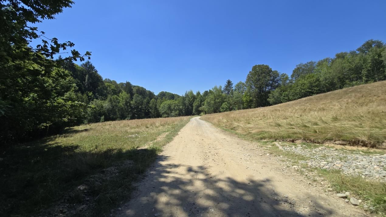 De vânzare teren de 36.200 mp teren în Poiana Mărului – fotografia 2 din 9