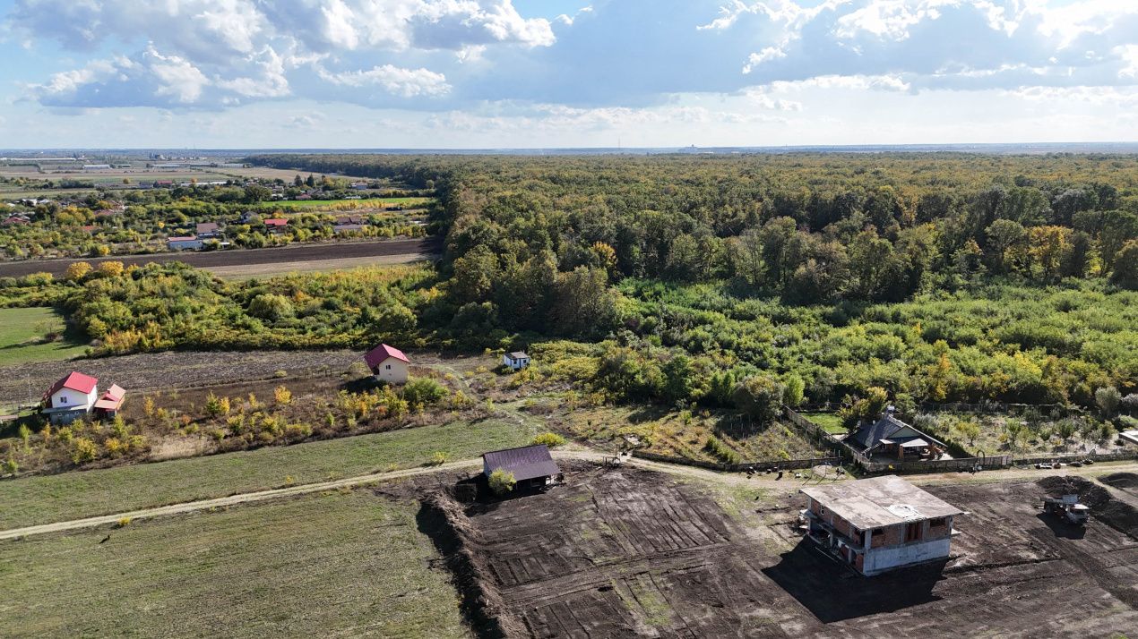 Teren intravilan 2822 mp de liniste in Cocani langa padure – fotografia 8 din 12