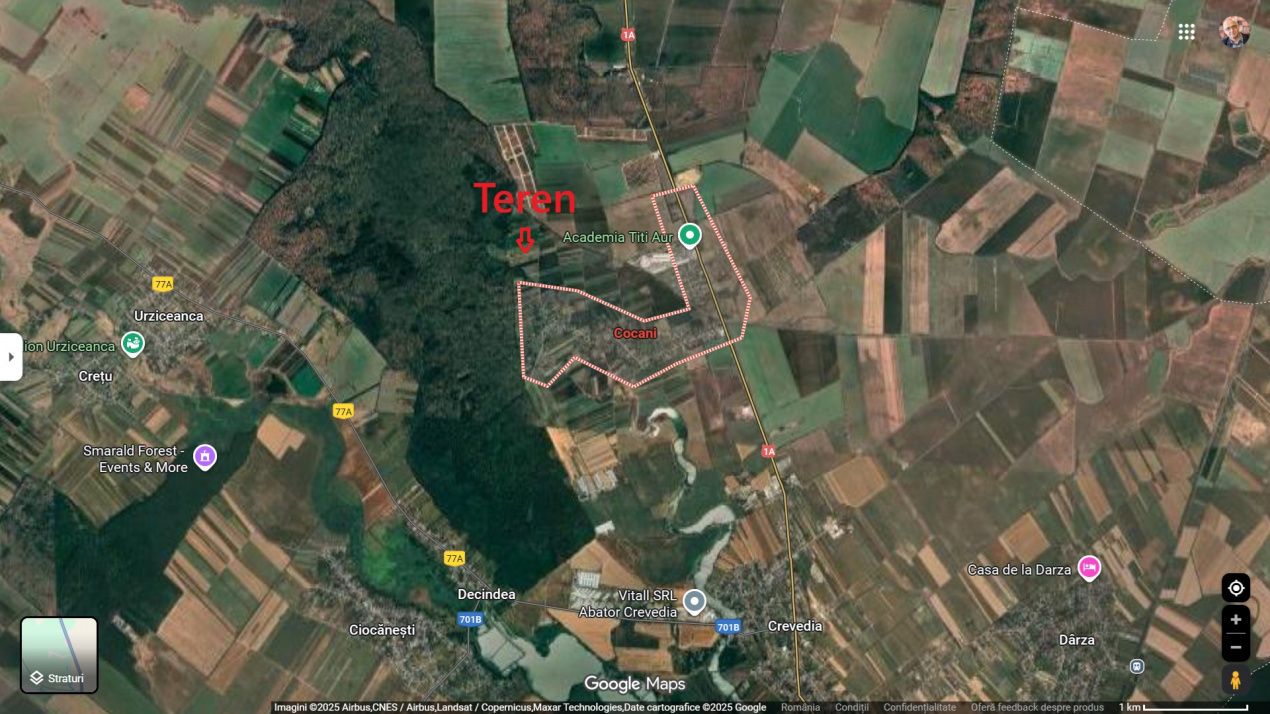 Teren intravilan 2822 mp de liniste in Cocani langa padure – fotografia 7 din 12