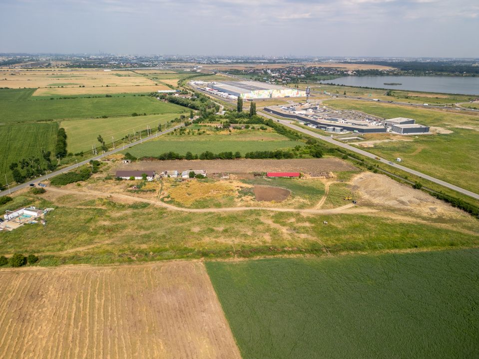 Teren Cernica,pentru Dezvoltare Rezidențială sau Industriala – fotografia 9 din 20