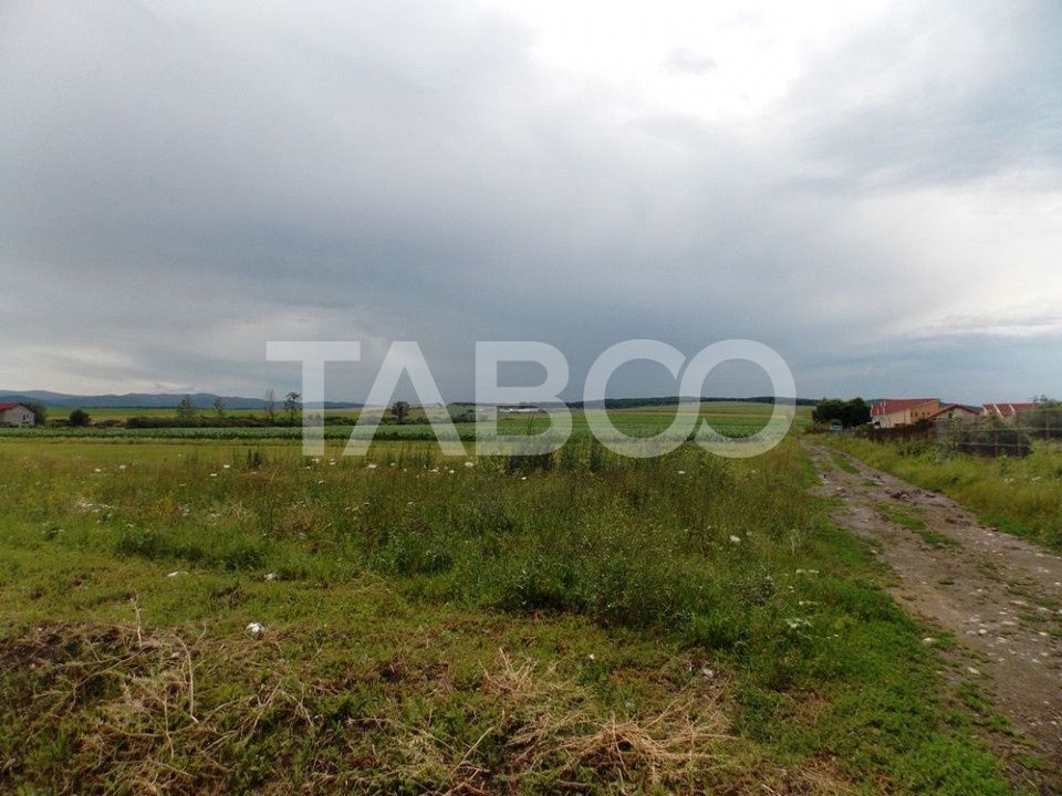 Teren de vanzare 10000 mp CF 107274 deschidere de 42 m in Sura Mica – fotografia 5 din 8