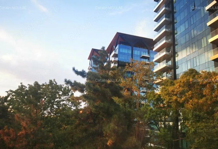 2 Camere de inchiriat | Floreasca | Centrala | Pet-Friendly | Parcare | Metrou – fotografia 8 din 8