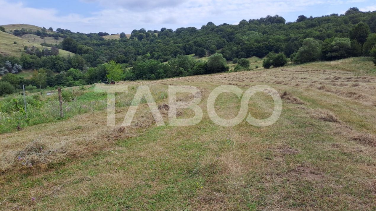Teren de vanzare langa padure 15600 mp in Hamba Sibiu – fotografia 1 din 3
