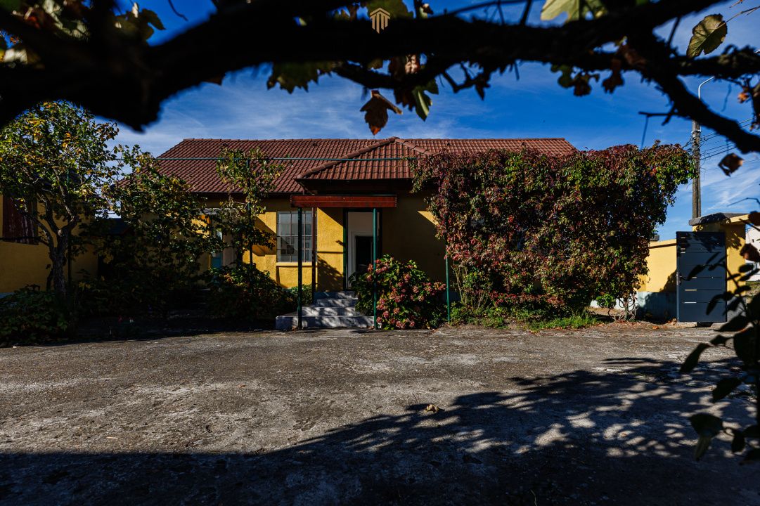 Casă individuală, teren 1.929 mp, acces spre Bega – Remetea Mare – fotografia 4 din 43