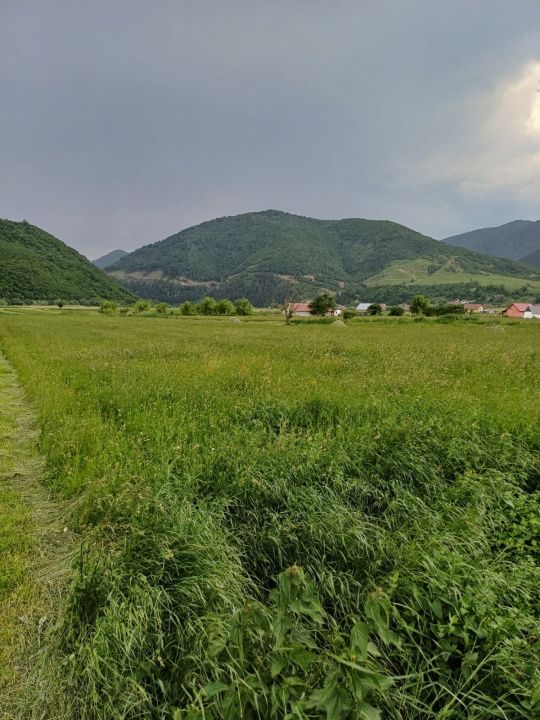TEREN INTRAVILAN DE VÂNZARE – BOIȚA | 3.477 MP | LA DOAR 700 M DE NODUL RUTIER – fotografia 2 din 2
