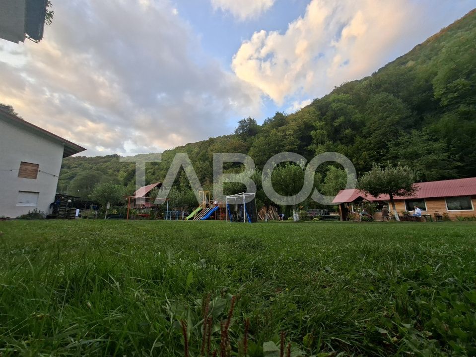 Spatiu de vanzare in Valea Macesului judel Valcea iesire la Lotru – fotografia 47 din 49
