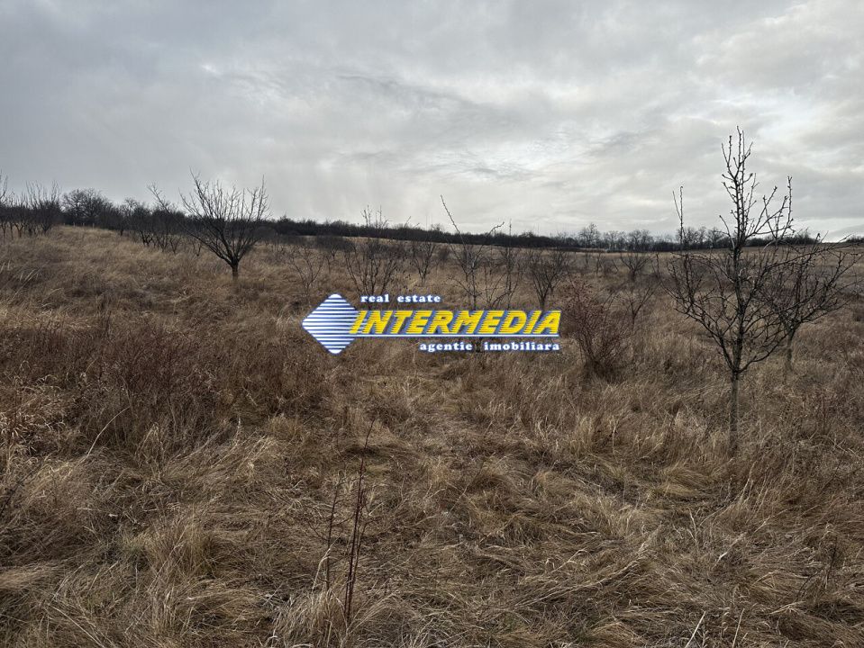 Teren extravilan de vanzare in suprafata de 80000 mp cu livada de pomi fructiferi – fotografia 7 din 11
