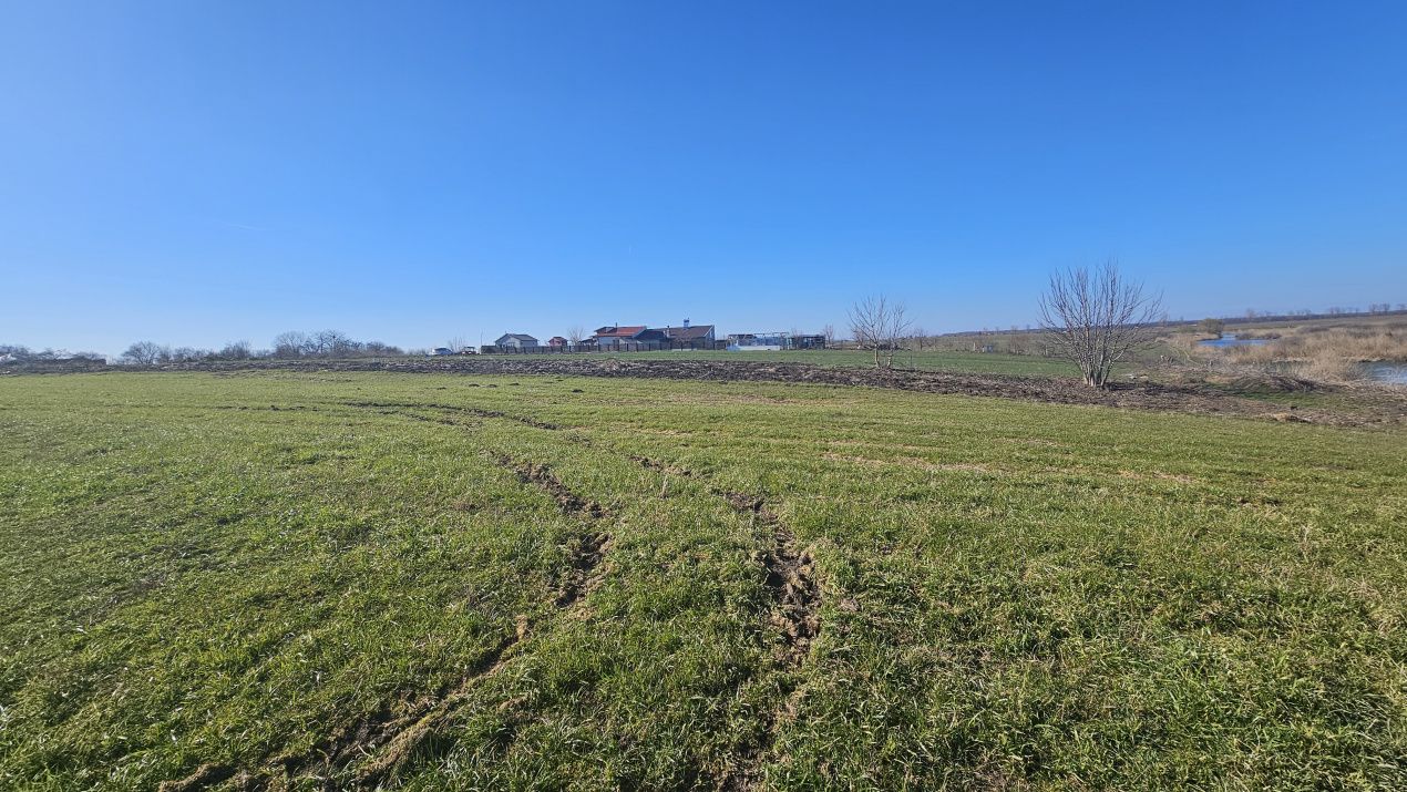 Loturi de Casa pe malul Lacului Creața, Dascălu – 460 mp + Drum servitute – fotografia 5 din 9