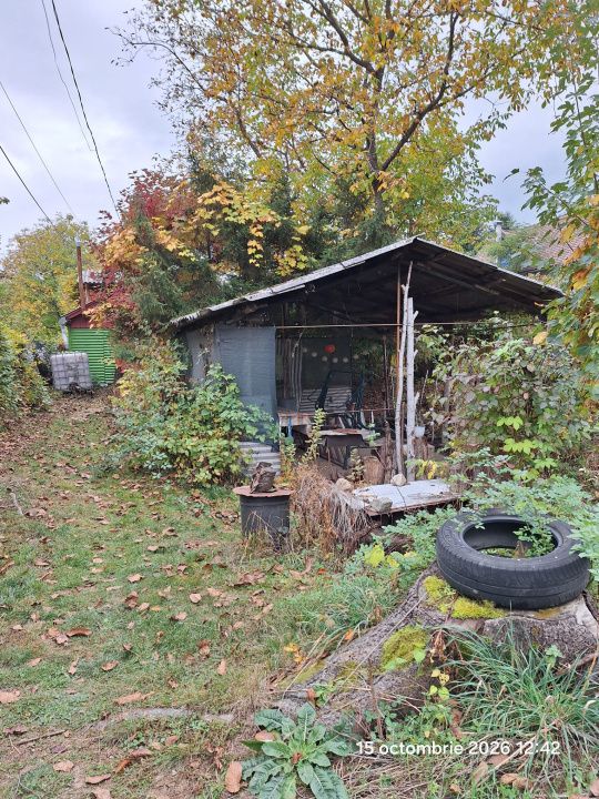 Teren intravilan Tocile, 1.093 mp / livadă, cabană, rulotă și o toamna frumoasă! – fotografia 12 din 37