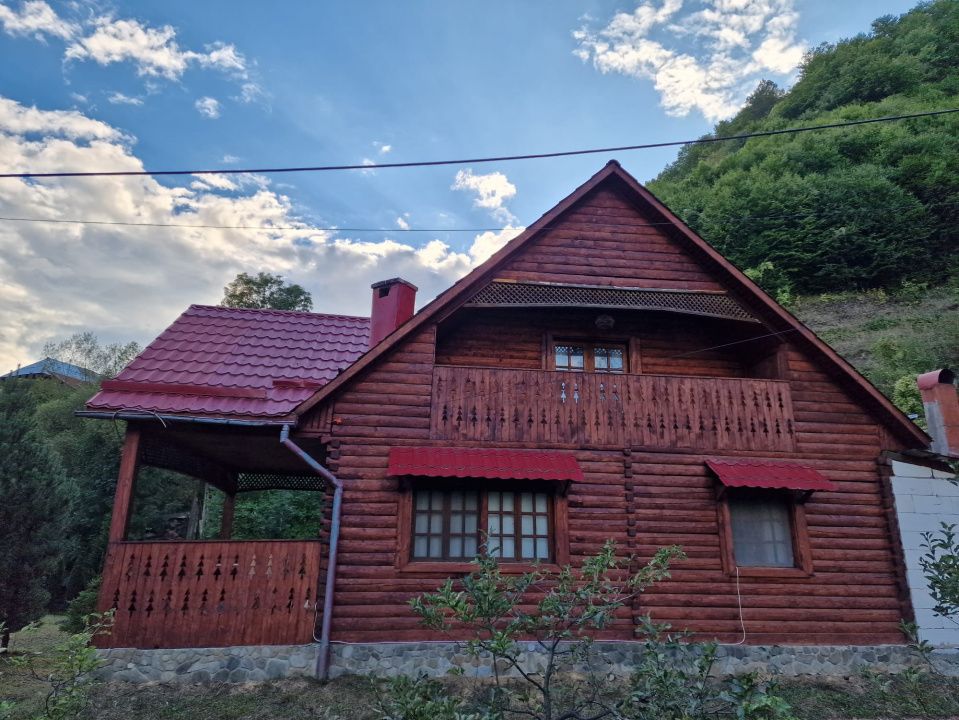 CABANĂ DE VÂNZARE ÎN ROMULI, BISTRIȚA-NĂSĂUD – fotografia 3 din 21
