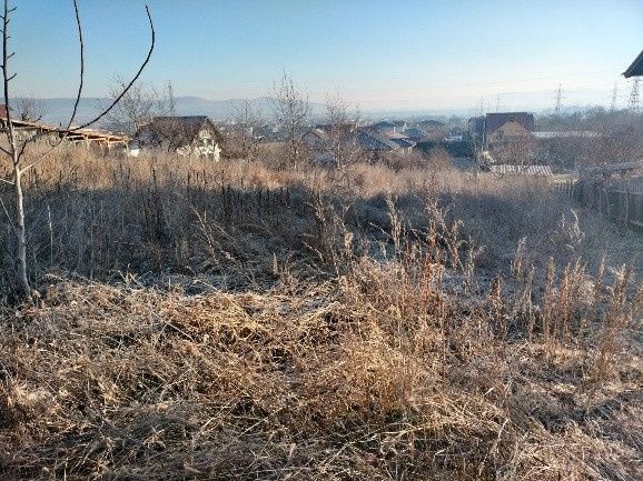 1400 mp. Deschidere 38 m Teren Intravilan CETATE Valea Popii utilitatile langa – fotografia 4 din 8