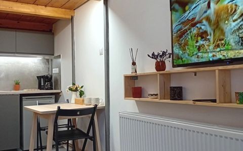 Centru, apartament cu 1 camera de vanzare, autorizat pentru regim hotelier