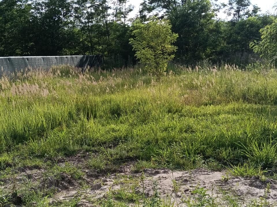 TEREN INTRAVILAN 712 MP | 17 ML DESCHIDERE | UTILITĂȚI | APROAPE DE COSTEȘTI – fotografia 4 din 7