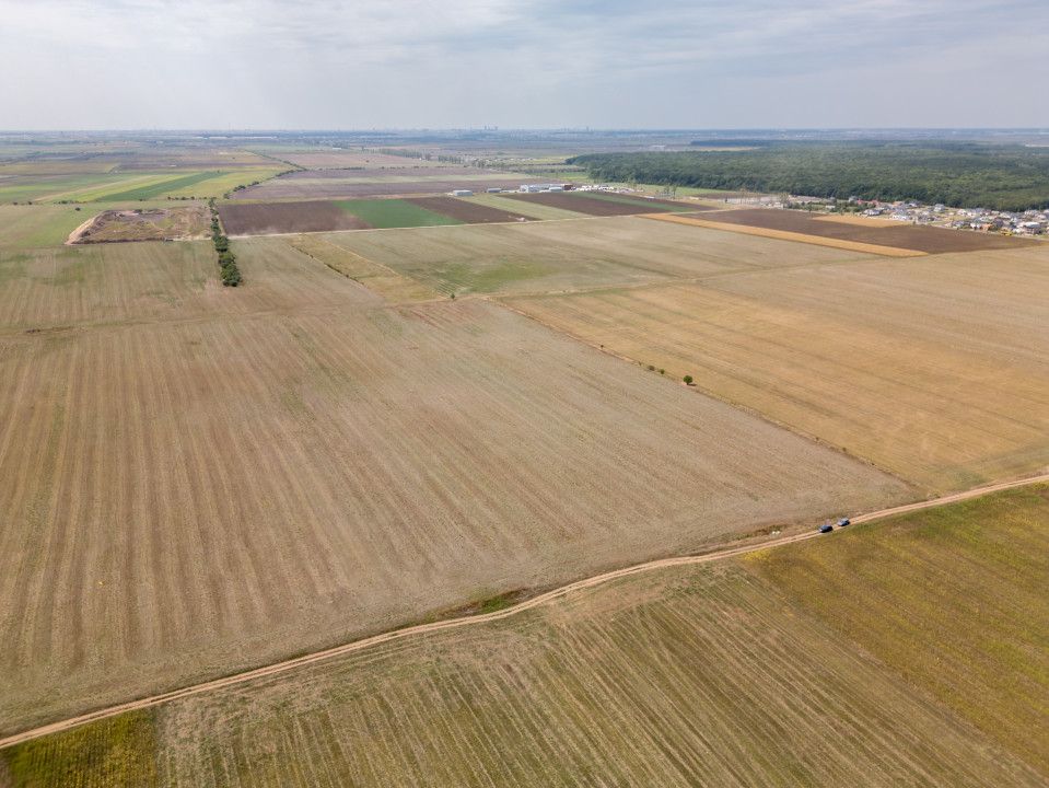 DASCALU - TEREN INTRAVILAN 7500 MP, INVESTITIE! – fotografia 5 din 17
