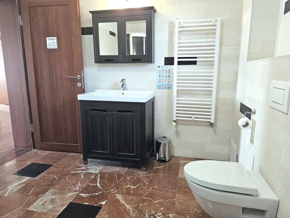 PROPRIETATE DEOSEBITĂ CU POTENȚIAL REZIDENȚIAL ȘI  BUSINESS – MOVILA, NICULEȘTI – fotografia 15 din 23