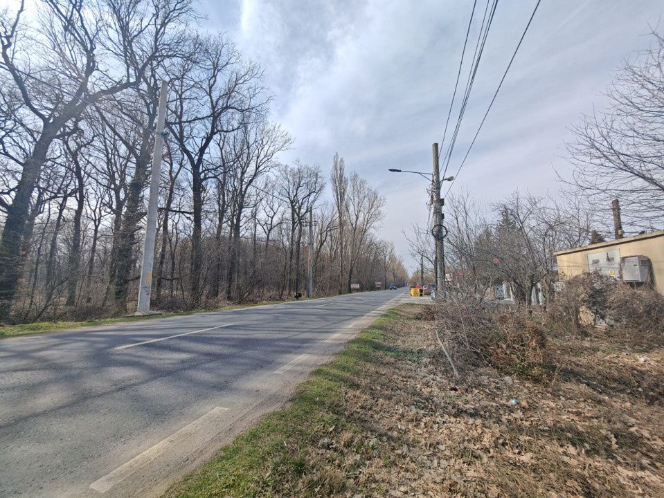 OPORTUNITATE -Teren de Vis la Marginea Pădurii – 5000 mp în Ciorogârla – fotografia 7 din 7