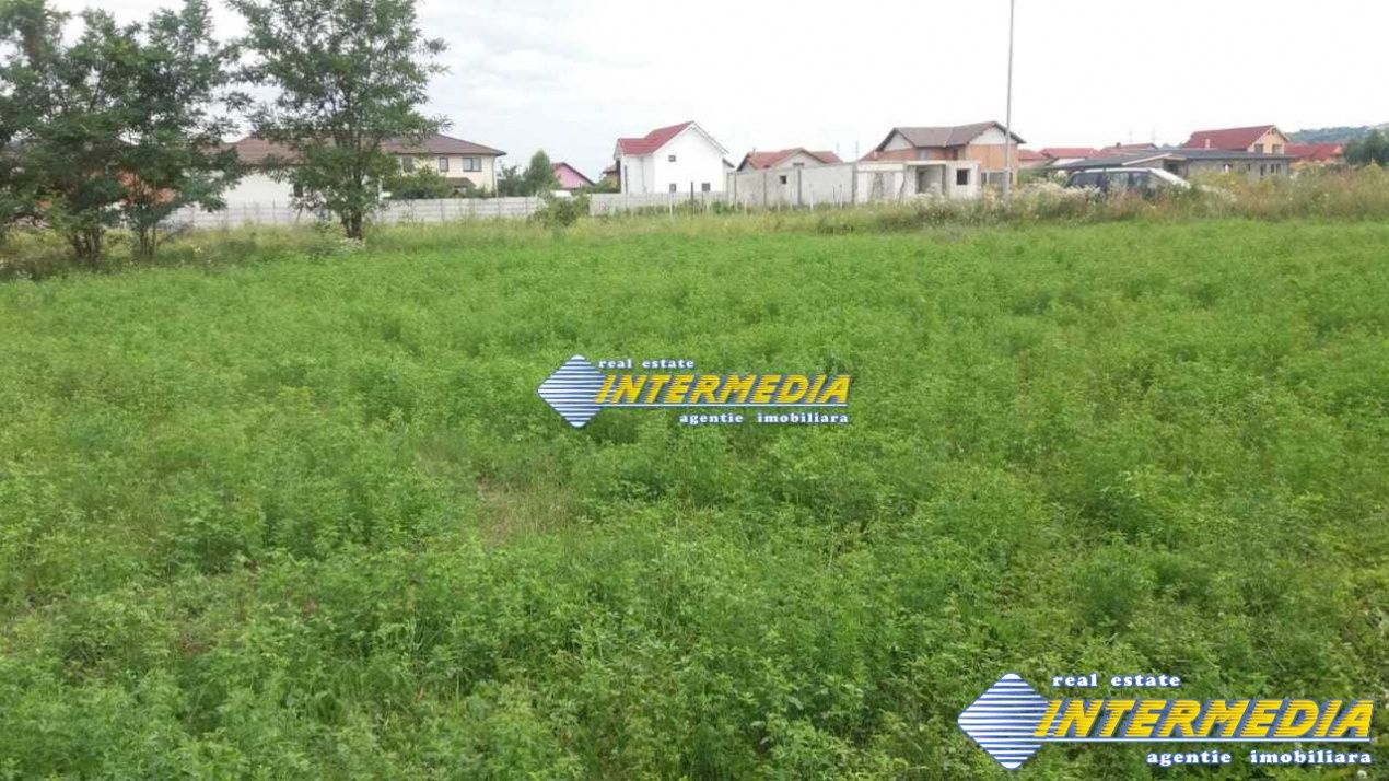 Teren Intravilan 1243 mp zona CETATE Piata cu deschidere 62 m si utilitati – fotografia 1 din 1