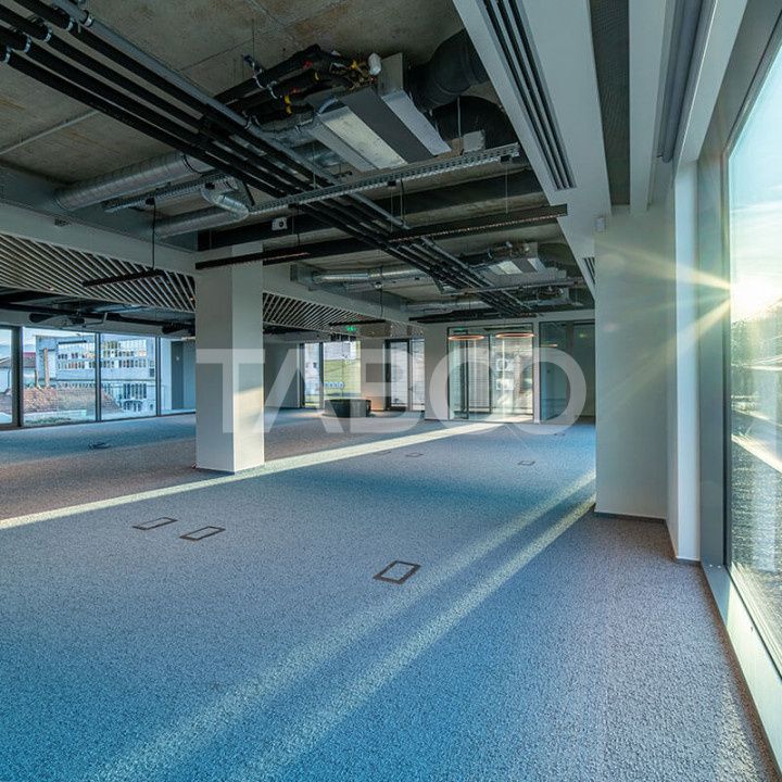 Birouri premium in Sibiu–Spatii flexibile moderne pentru companii – fotografia 4 din 17