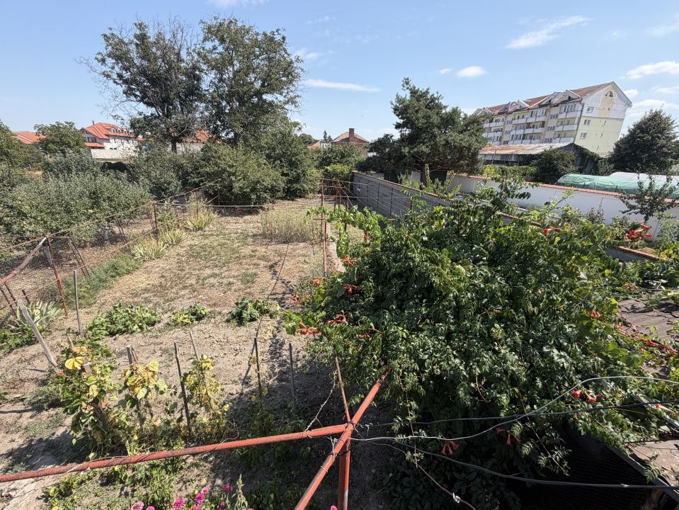 Sebeș Centru – Casă cu suflet 7 Camere 700 mp Teren 2 Garaje Curte Gradină – fotografia 32 din 37