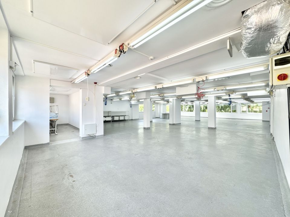 Oltenița | Proprietate multifunctionala | 1.081 mp utili | Teren 2.021 mp – fotografia 5 din 29