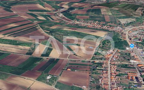 Teren 3480 mp cu oportunitate investitie imobiliara Sura Mare
