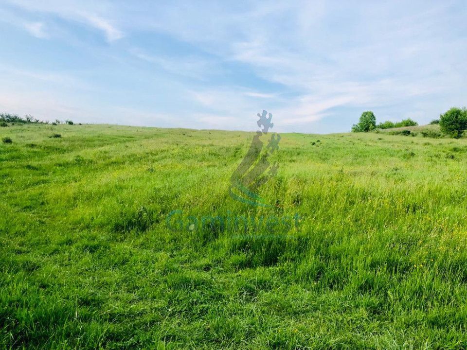 Teren mixt de vanzare in Hidiselu de Jos, Bihor – fotografia 3 din 5