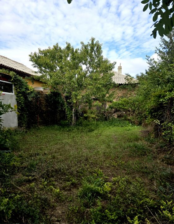 Teren cu casă demolabilă sau renovabila în Valu lui Traian, pe Calea Dobrogei – fotografia 5 din 12