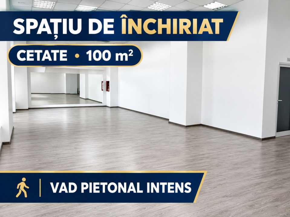 SPATIU COMERCIAL I 100 MP I CU VAD COMERCIAL I CETATE I – fotografia 4 din 4