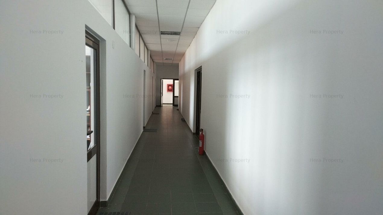 Închiriere pavilion administrativ, opțional cu hale industriale în Galați – fotografia 32 din 48