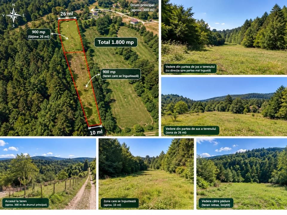 🌿 TEREN DE VÂNZARE ÎN POPLACA – 1.800 MP, RETRAS ÎNTRE PĂDURI! 🌳 – fotografia 2 din 2