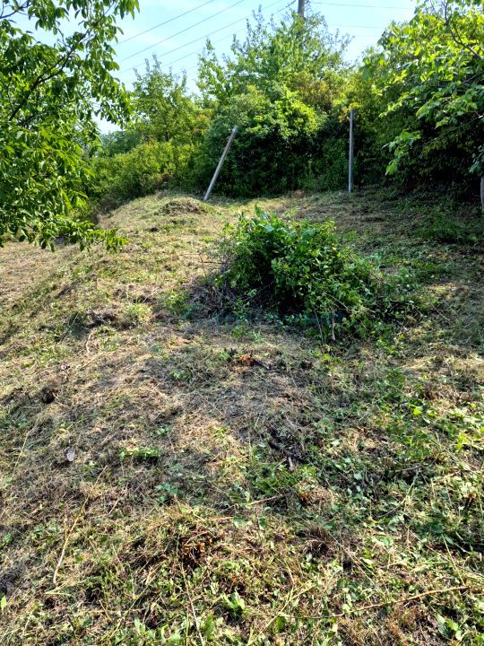 Teren in zona verde aproape de oras, zona Doja, Oradea – fotografia 6 din 9