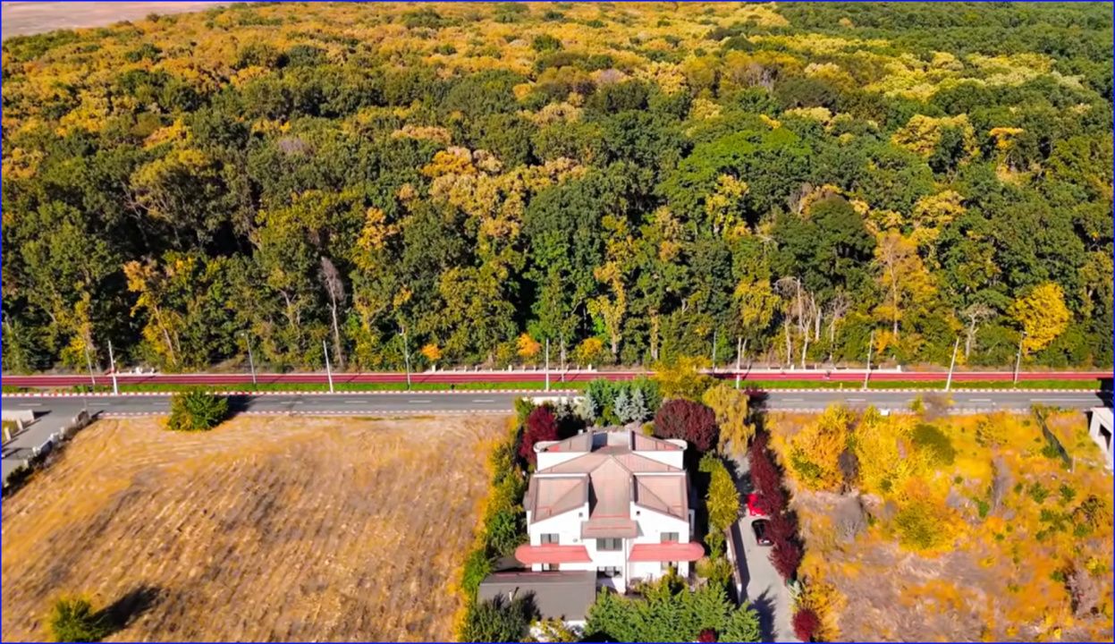 Vilă de Închiriat - Pipera. Unde natura întâlnește spațiul fără compromisuri. – fotografia 16 din 16