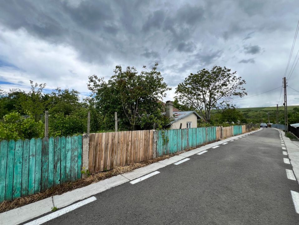 Casă + teren 4430 mp, vie și pomi fructiferi, 22 km de Tecuci – fotografia 5 din 36