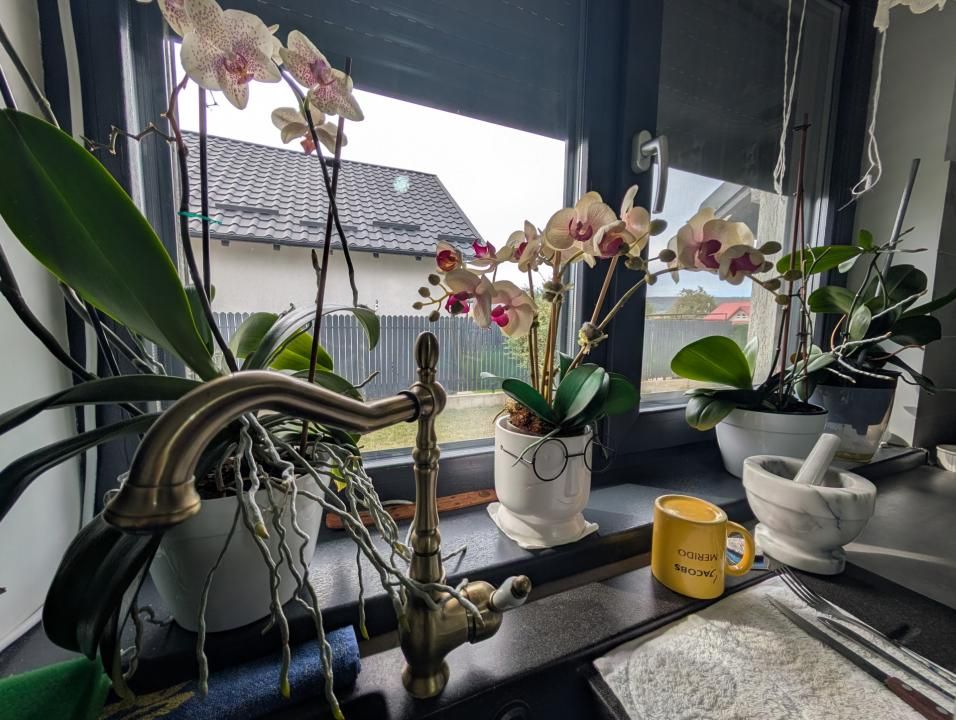 Casa Lilieci amenajata modern, mobilată - utilata – fotografia 7 din 13